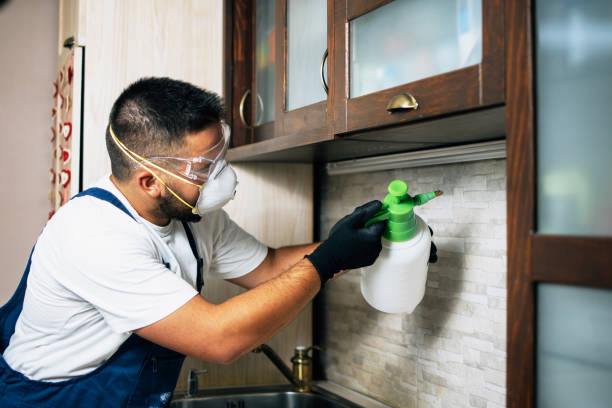 Best Pest Control for Homes  in Jordan, NY