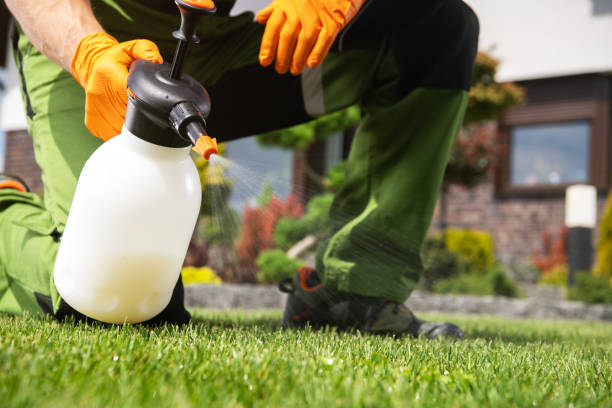 Best Mosquito Control Services  in Jordan, NY