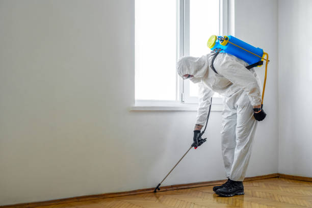 Best Insect Control  in Jordan, NY
